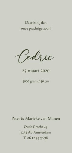 Olijfgroen jungle geboortekaartje met getekende olifanten Achterkant