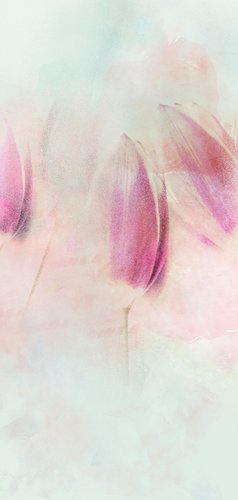 Rouw bedankkaart tulpen zacht pastel Achterkant