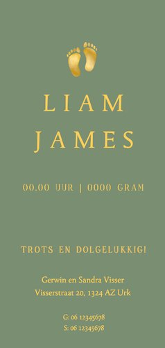  Stijlvol langwerpig geboortekaartje groen met foliedruk Achterkant