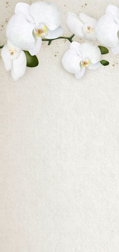 Stijlvolle klassieke langwerpige rouwkaart met orchideeën  Achterkant