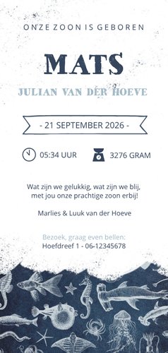 Stoer en hip geboortekaartje zeedieren illustraties Achterkant