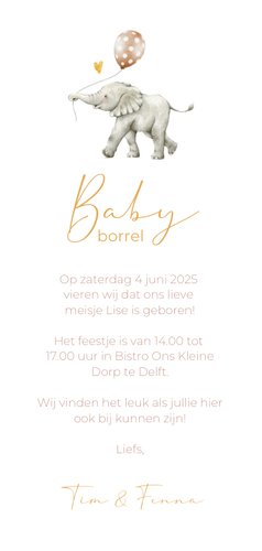 Uitnodiging babyborrel met olifantje en ballon 3