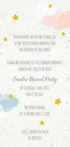 Uitnodiging boy or girl gender party in de wolken Achterkant