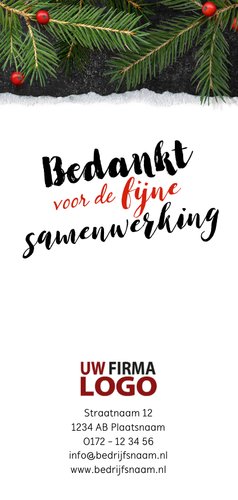 Zakelijk kersttakken logo rood Achterkant