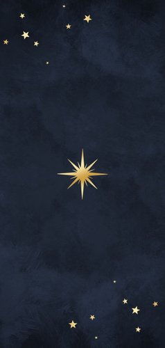 Zakelijke kerstkaart kerstboom fijne kerst foto sterren goud Achterkant