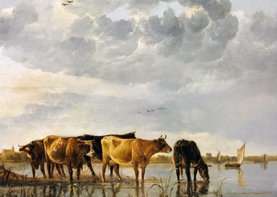 Albert Cuyp. Koeien in een rivier