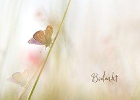 Bedankkaart met vlinders