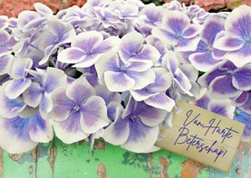 Beterschapskaart Hortensia bloemen op steigerhout