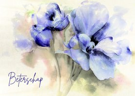 Beterschapskaart paars aquarel bloem