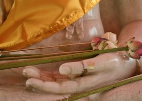 Boeddha hand met lotus