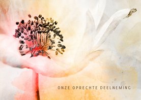 Condoleancekaart anemone in pastel