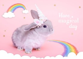 Dierenkaart - Eenhoorn konijntje regenboog