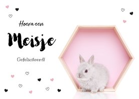 Felicitatie kaart - Geboorte - Lief konijntje roze hartjes