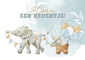 Felicitatiekaart geboorte broertje met vrolijke olifantjes