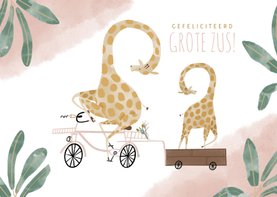 Felicitatiekaart grote zus met girafjes en roze bakfiets