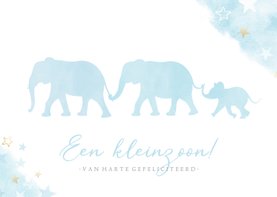 Felicitatiekaart kleinzoon met silhouet van 3 olifantjes