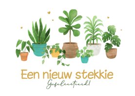 Felicitatiekaart nieuw stekkie nieuwe woning planten hartjes