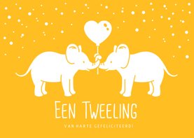 Felicitatiekaart olifant geboorte tweeling jongen en meisje 