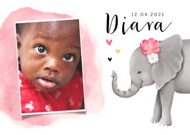 Geboortekaartje adoptie met lief olifantje voor een meisje 