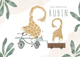 Geboortekaartje dag broertje giraffen op de fiets