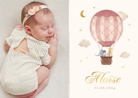 Geboortekaartje foto roze dieren luchtballon vintage sterren