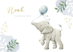Geboortekaartje jongen met olifantje en ballon