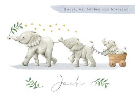 Geboortekaartje met drie olifantjes in een vrolijke stoet!