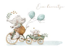 Geboortekaartje zoon met twee olifantjes samen op de fiets