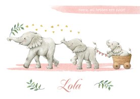 Geboortekaartje zusje met drie vrolijke olifantjes