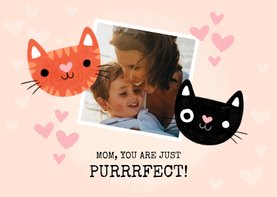 Grappige moederdag kaart katten mom you are just purrrfect!