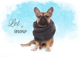 Kerstkaart - Franse Bulldog in de sneeuw