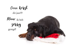 Kerstkaart hond Rottweiler met kerstmuts van de kerstman