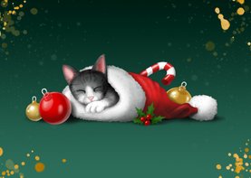 Kerstkaartje slapend katje in kerstmuts