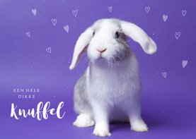 Kinderkaart - Knuffel konijntje paars