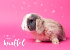 Kinderkaart - Knuffel konijntje roze