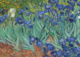 Kunstkaart van Vincent van Gogh. Irissen