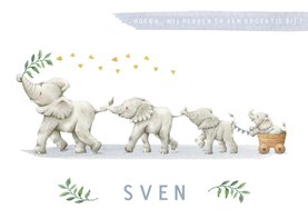 Lief geboortekaartje broertje met vier vrolijke olifantjes