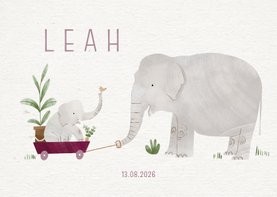 Lief geboortekaartje olifantje paarse bolderkar planten
