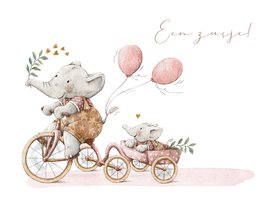 Lief geboortekaartje olifantjes zusjes samen op de fiets