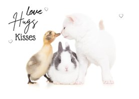 Liefde kaart 'love hugs kisses met konijn kuiken kitten