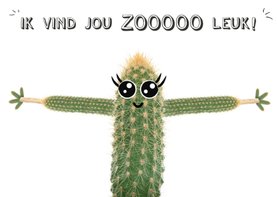 Liefdeskaart met cactus met ik vind jou zooooo leuk! 