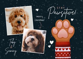 Lieve kerstkaart Stay Pawsitive hondenpootje en foto's