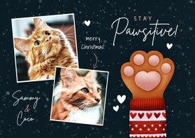 Lieve kerstkaart Stay Pawsitive, kattenpootje en foto's