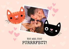 Lieve valentijnskaart purrrfect met katten, hartjes en foto