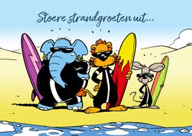 Vakantie stoere surfboys Loeki & friends - A