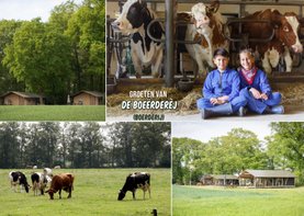 Vakantiekaart groeten van de boerderij