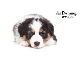 Valentijnskaart - Puppy - Dreaming of you!