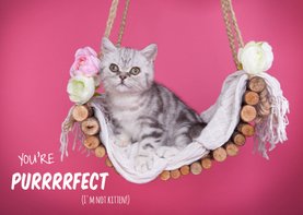 Valentijnskaart - You're purrrfect - Kitten roze