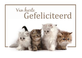 Van harte Gefeliciteerd met katten