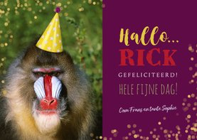 Verjaardagskaart baviaan met feesthoedje
